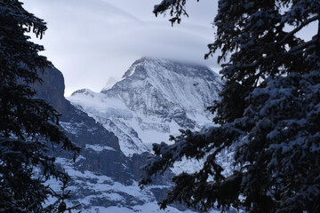 Finsteraarhorn, Eiger, Bernerobland, Grindelwald