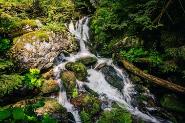 waterfall in the forest