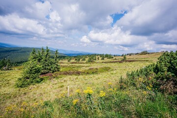 landscape with sky and clouds