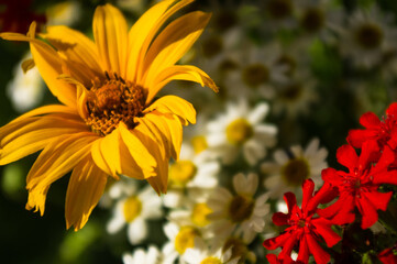 a bouquet of bright spring flowers of various types