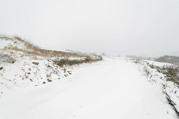 snow covered road