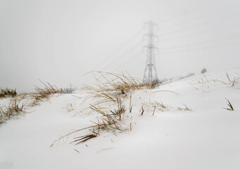 grass covered in snow