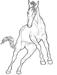 muscular house horse linear drawing. animal in motion picture. design of a booklet, flyer, invitation to an exhibition of animals, riding horses. template, clipart, doodle for antistress coloring book