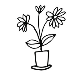 A blooming houseplant hand-drawn in doodle style. Stylized vector black and white sketch illustration for logos, emblems, cute designs, prints for clothing and cozy interior decor.