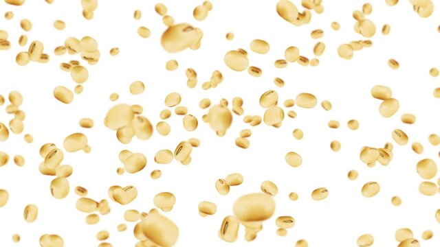 Flying many soybeans on white background. Light brown grains. Soya bean and soja. Healthy food. 3D loop animation of soy beans rotating.