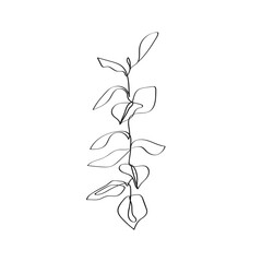 Leaves Branch One Line Vector Drawing. Botanical Single Line Art, Aesthetic Contour. Leaves Art Perfect for Home Decor, Wall Posters, or t-shirt Print, Mobile Case. Flower Continuous Line Drawing