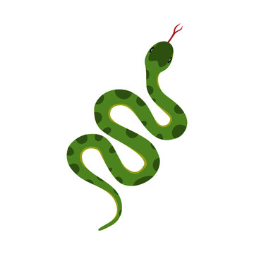 Vector of a green snake slithering in action with tongue out