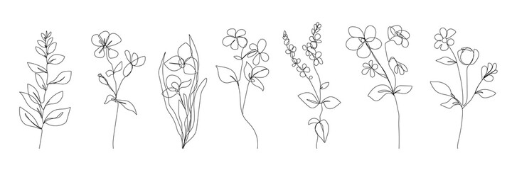 Continuous Line Drawing Set Of Plants Black Sketch of Flowers Isolated on White Background. Leaves and Flowers One Line Illustration. Vector EPS 10.