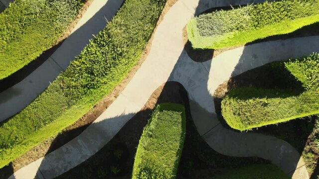 Aerial top down flying over a complex multicursal green hedge maze on an open field at daytime