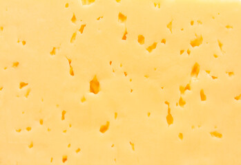 Yellow cheese close up. Cheese texture.