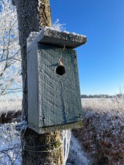 birdhouse on a tree