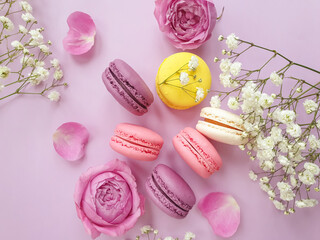 multicolored macaroon, rose flower on a colored background