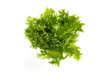 iceberg lettuce on white background. The view from the top,