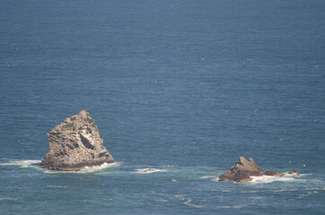 Fototapeta premium Offshore islets in Sandfly Bay. Otago Peninsula. Otago. South Island. New Zealand.