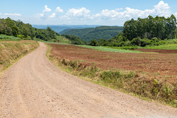 Fototapeta na wymiar Farm plantation with valley and dirty road
