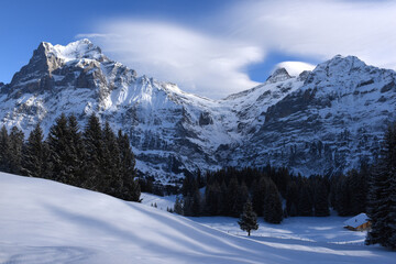 Fototapeta na wymiar Wetterhorn, Schreckhorn Berner Oberland, Grindelwald, Winterlandschaft