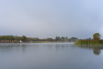 Wheat on the lake full of fog beautiful landscape reflection with blue sky with clouds on the background