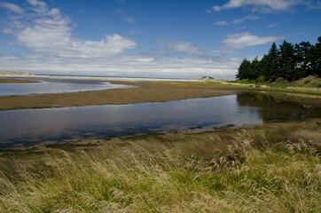 Kaikorai Lagoon in Otago. South Island. New Zealand.