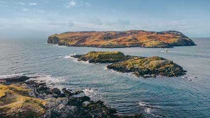 Calf on Man Island on a sunny day