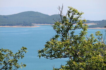 lake in the mountains
