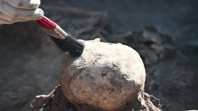 An archaeologist sweeps dust off human remains during archaeological excavations.