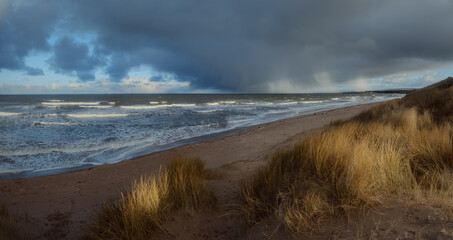 Yellow sand beach, grass and sea before rain at sunset. Limetree Walk Beach, East Lothian, Scotland, United Kingdom