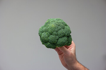 Naklejka na ściany i meble Caucasian male hand holding a fresh green broccoli isolated on gray background