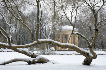 City park in the winter season.