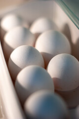 Group of white eggs stacked inside refrigerator door holder shallow depth of field