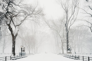 Central Park snow. Historic architecture in New York City Central Park. Beautiful bow bridge in...