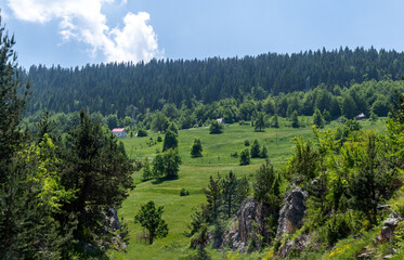 Landscape with a village in north Montenegro