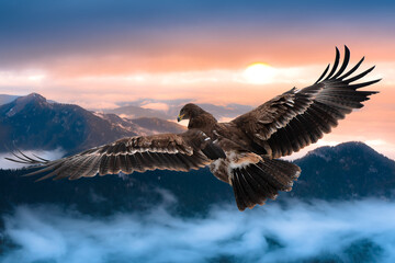 An eagle flies over the frozen mountains at beautiful dawn. 
Steppe eagle (Aquila nipalensis)
