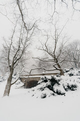 Central Park snow. Historic architecture in New York City Central Park. Beautiful bow bridge in Manhattan Central Park with snow flakes. Winter in NYC. Blizzard in New York City. 