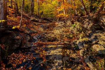 Fall Mountain Stream 