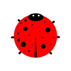 Cute ladybird icon vector illustration