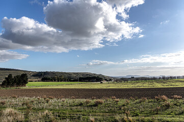 Fototapeta na wymiar Photo by Pasaggio della Campagna della Sardegna, with Trees and Spontaneous Vegetation in a Rural Scenario, Panoramic View
