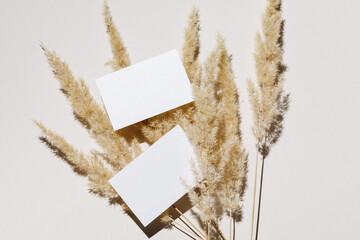 Mockup with blank paper business card and dried pampas grass over beige pastel background with...