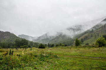 landscape with fog