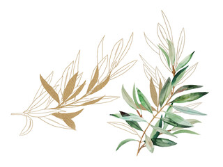 Obraz premium Watercolor green and golden Olive branches illustration