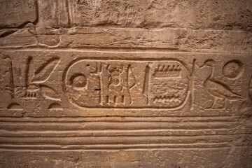 ancient Egyptian hieroglyphs on a wall in the Karnak Temple of Luxor