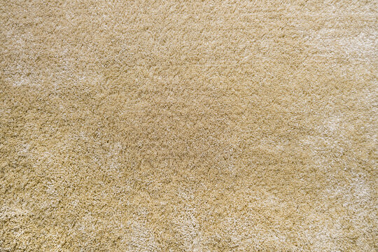 Surface Of Beige Carpet. Frieze Wool Material Carpeting.