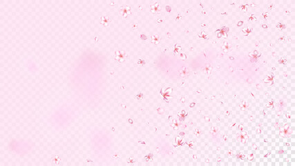 Nice Sakura Blossom Isolated Vector. Tender Falling 3d Petals Wedding Frame. Japanese Nature Flowers Wallpaper. Valentine, Mother's Day Summer Nice Sakura Blossom Isolated on Rose