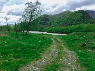 Fototapeta na wymiar Green mountain with pass, Kuva river, Peredovaya village