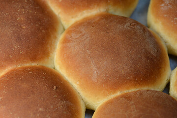 Hamburger buns