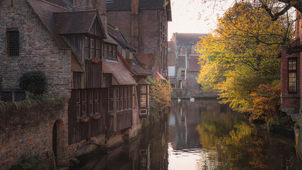 Naklejka premium A pair of swans enjoy a peaceful float on a calm canal in Bruges, Belgium on an autumn day.