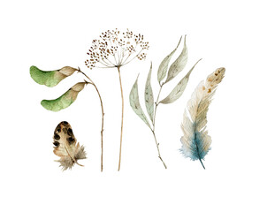 Watercolor set with botanical elements, dry branches, leaves and bird feathers. hand painted on white background