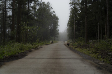 Hell-Bourg La Reunion Island road