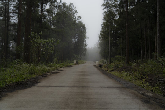 Hell-Bourg La Reunion Island road