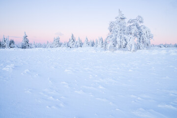 white winter landscape in the morning