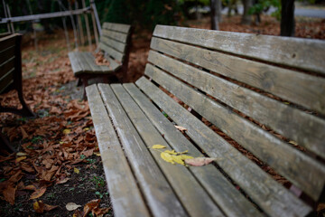 秋の公園のベンチ